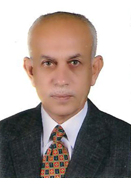 Mohamed Amer Fayyath,Prof.Dr.